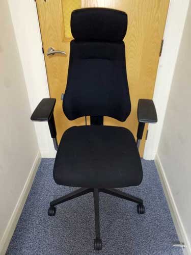 Everest Posture Chair Med Back w/ Head Rest image