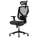 E-Form Ergonomic Posture Chair