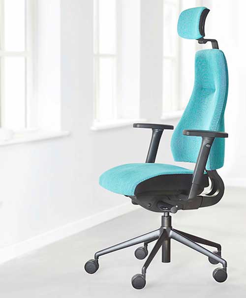 Everest Posture Chair